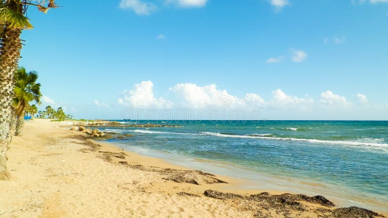 Tropisk vy över palmer, strand och Medelhavet nära Paphos stad, Cypern royaltyfri bild