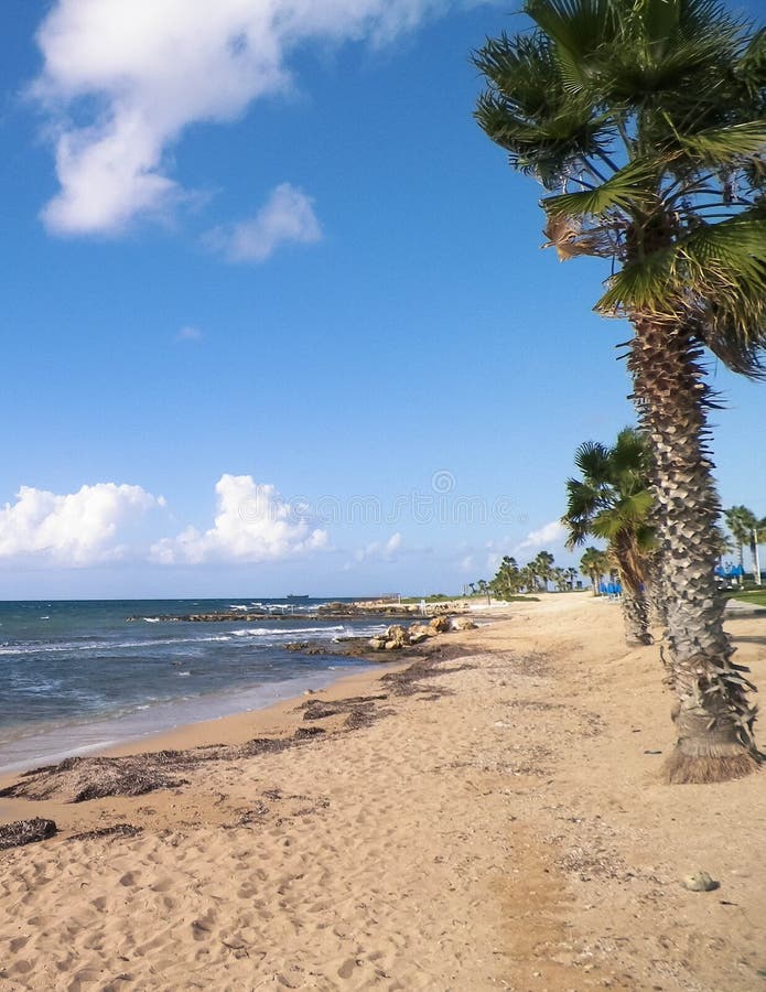 Tropisk utsikt över palmer, strand och Medelhavet nära Paphos stad, Cypern arkivbilder