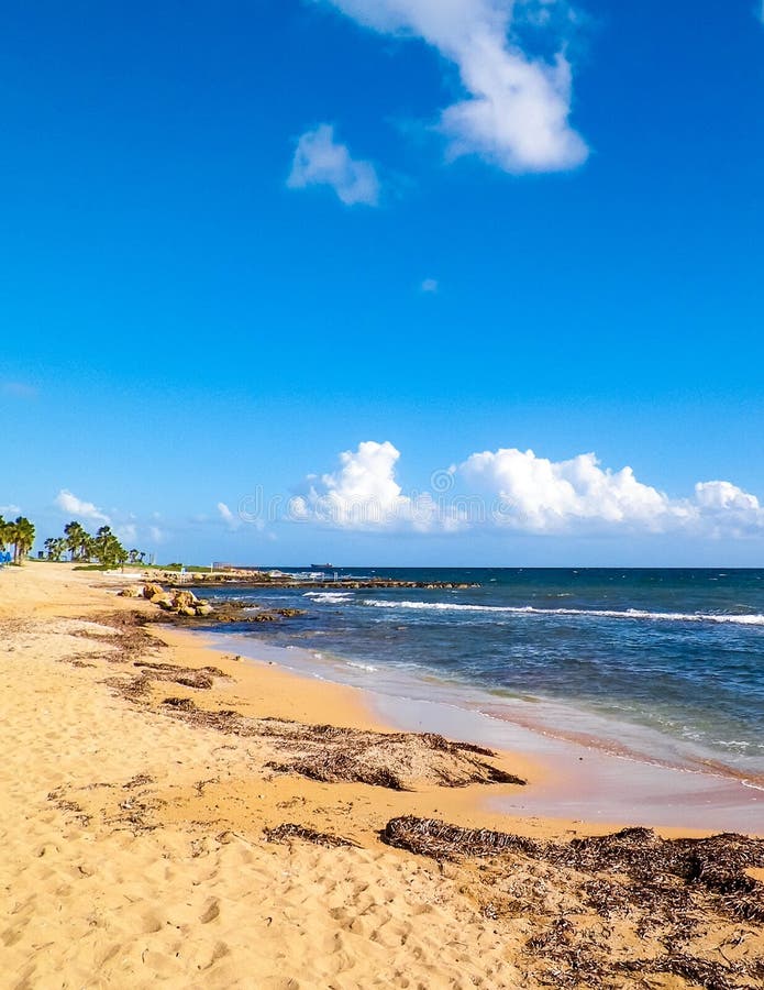 Tropiskt utseende av palmstrand och Medelhavet nära ön Paphos City Cyprus royaltyfria foton