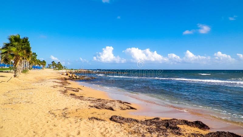 Tropiskt utseende av palmstrand och Medelhavet nära ön Paphos City Cyprus arkivfoto