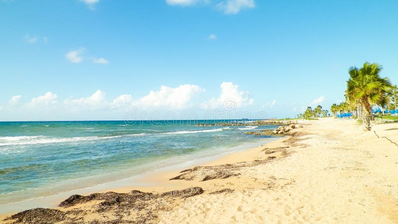 Tropiskt utseende av palmstrand och Medelhavet nära ön Paphos City Cyprus royaltyfria foton