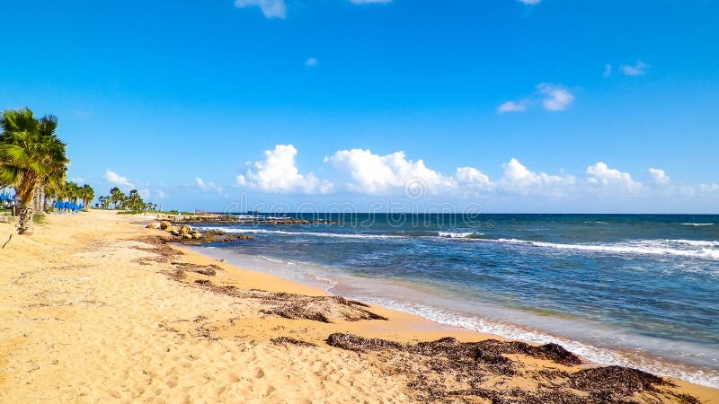 Tropiskt utseende av palmstrand och Medelhavet nära ön Paphos City Cyprus arkivbilder