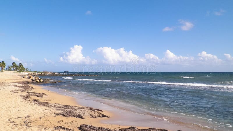 Tropiskt utseende av palmstrand och Medelhavet nära ön Paphos City Cyprus royaltyfri fotografi