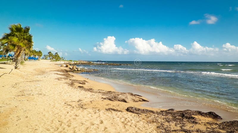 Tropiskt utseende av palmstrand och Medelhavet nära ön Paphos City Cyprus royaltyfria bilder