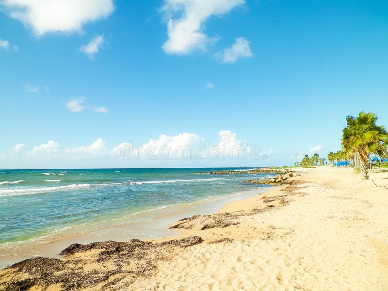 Tropiskt utseende av palmstrand och Medelhavet nära ön Paphos City Cyprus arkivbild