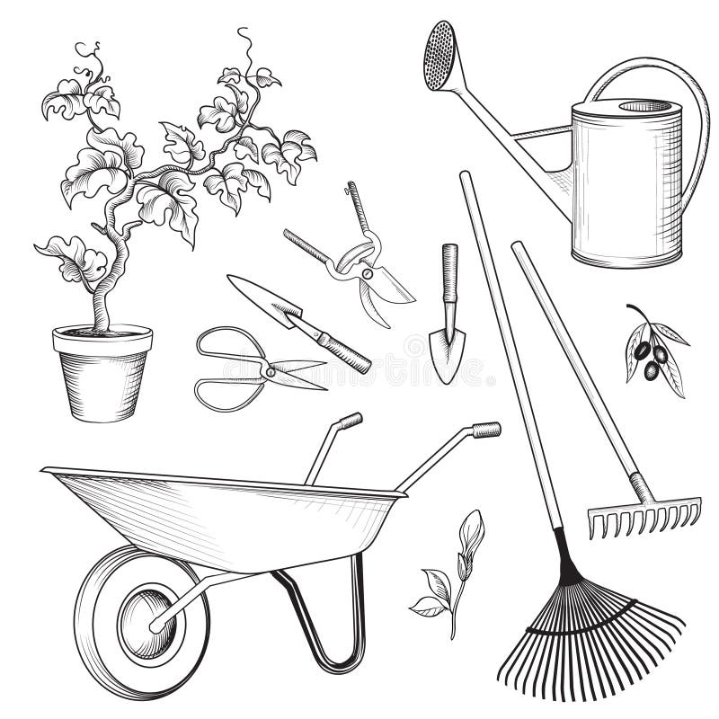 Trousse d'outils de jardin Usine de jardinage, boîte d'arrosage, brouette, Ra