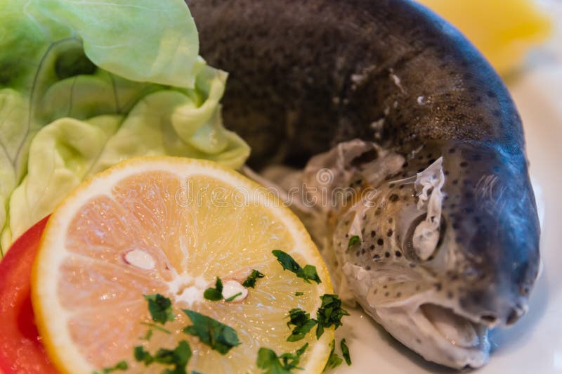 Trout au bleu stock photo. Image of boiled, diner, luxury 46446368