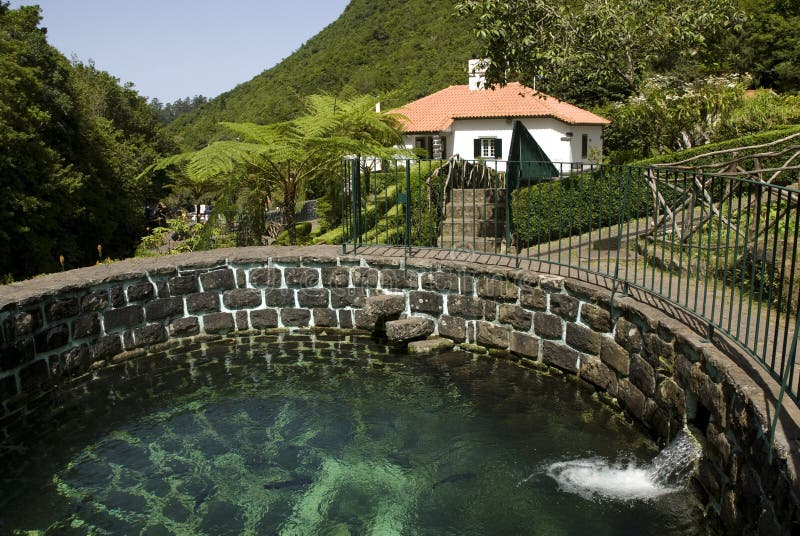 Trout farm Zomba stock image. Image of outdoors, leaves 52337337