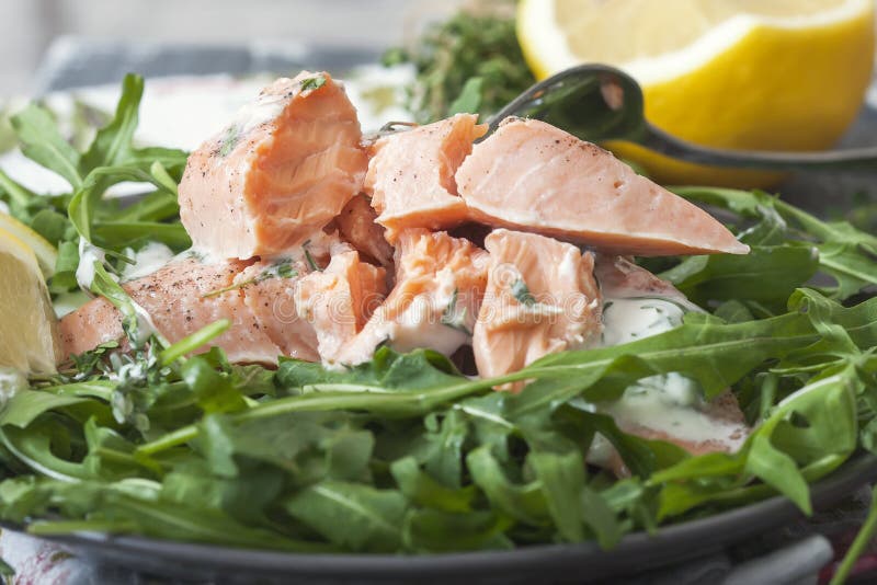 Trout Fillet Cooked in a Sousvide Bag. Stock Photo Image of green