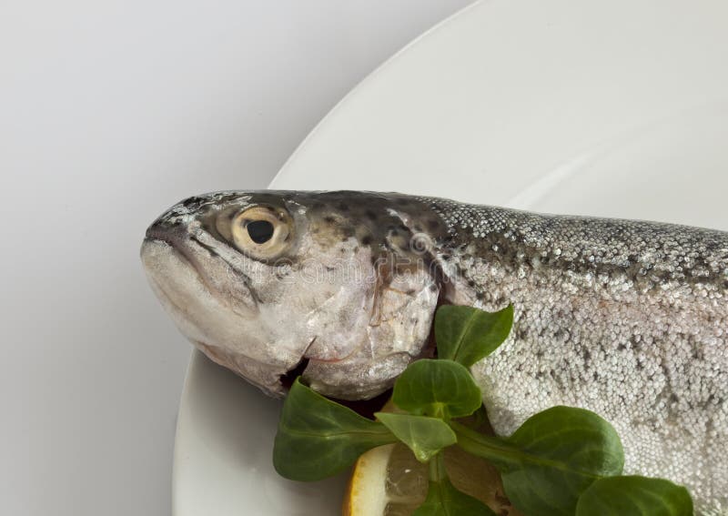 Trout fish stock photo. Image of food, corn, cuisine 12574026