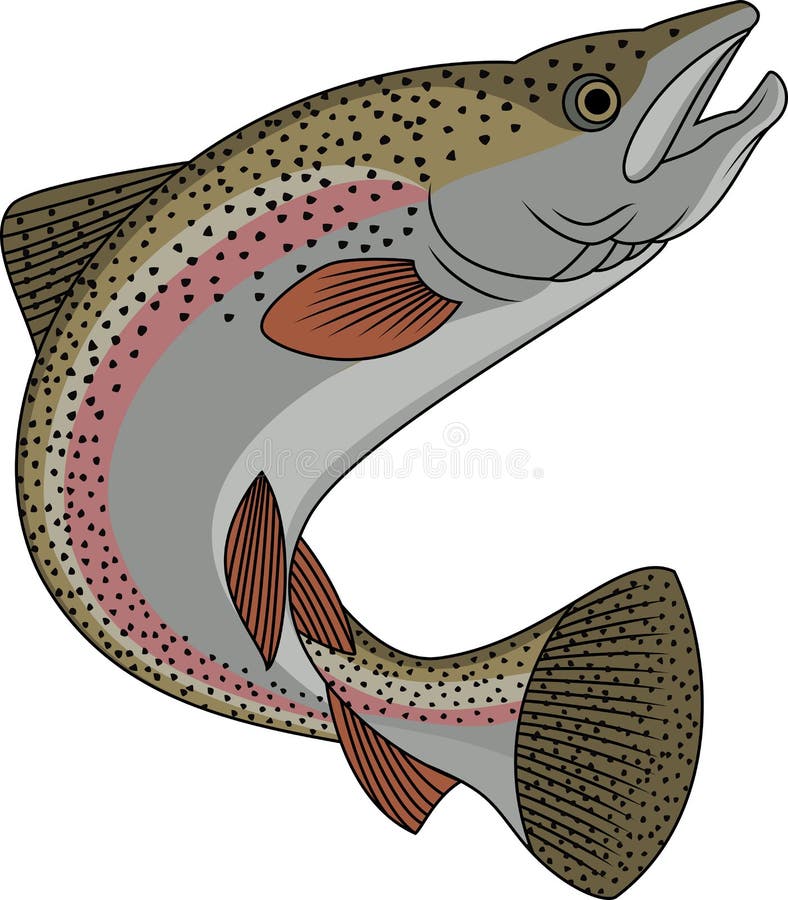 Trout fish cartoon stock vector. Illustration of carp 24673985