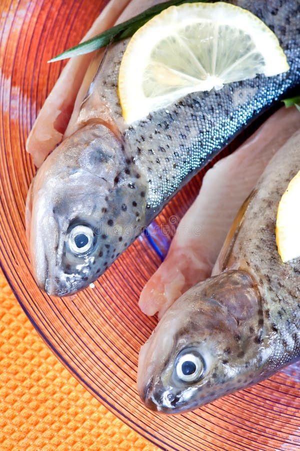 Trout Fish Healthy Food with Lemon Stock Image Image of trout, dinner
