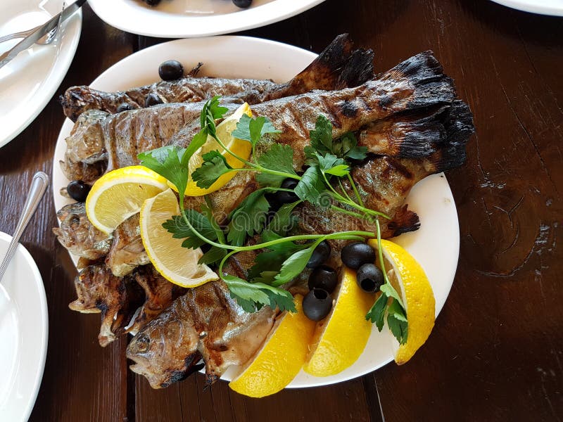 Trout fried fish. stock photo Trout fried fish. stock photo