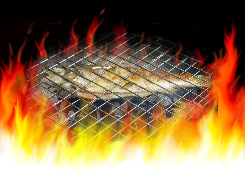 Trout on grill