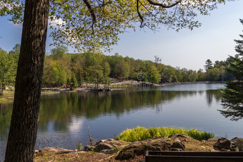 Trout Lake In Parc Omega Canada Stock Image - Image of ...