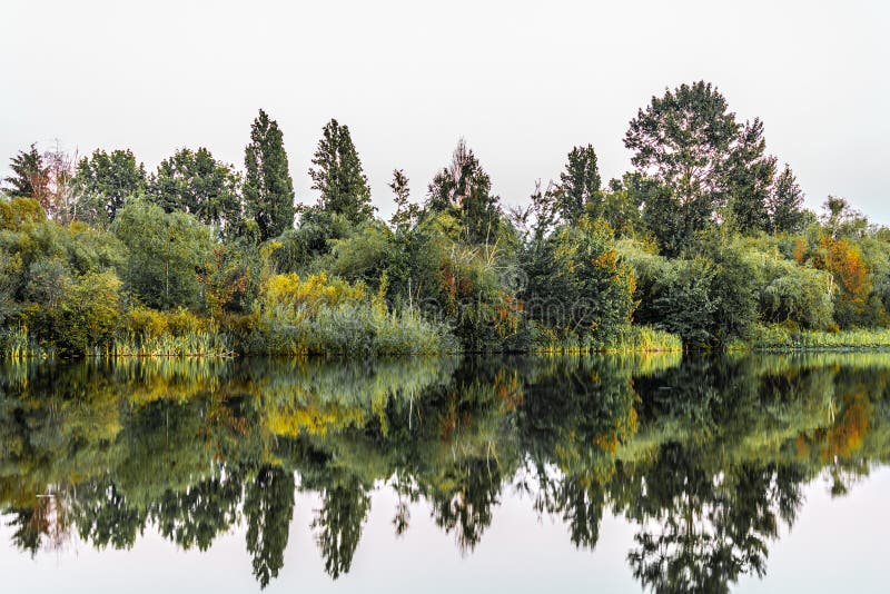 Trout Lake Park in Vancouver, Canada Stock Photo Image of park, exterior 80648430