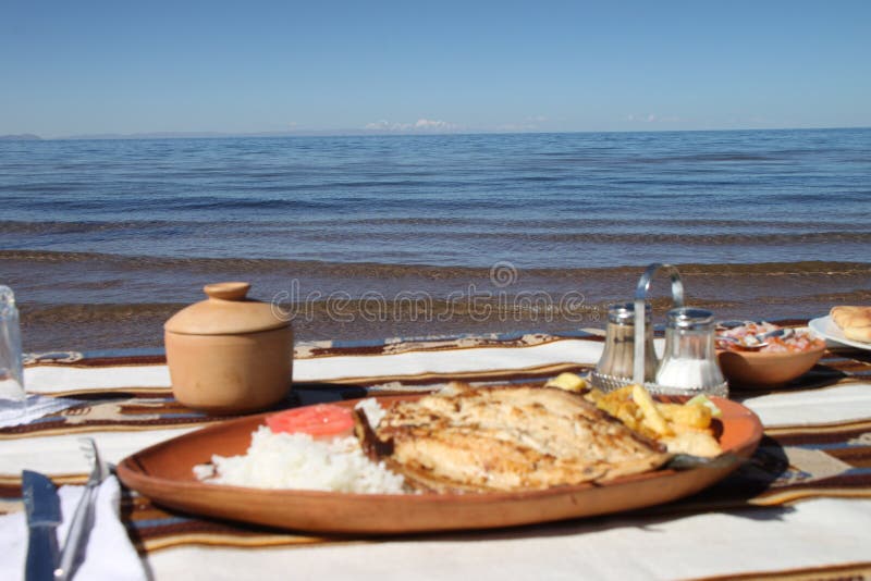 Trucha servimos almuerzo en conformado lámina sobre el costa de.