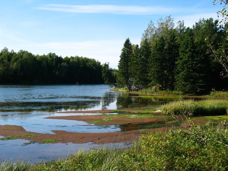 Trout River Winding through Rural Prince Edward Island Stock Image