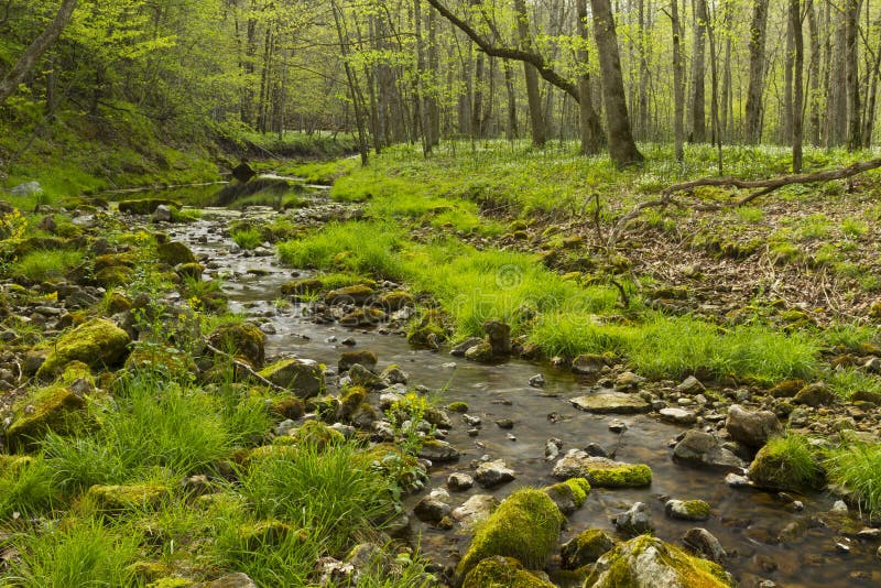 Trout Run Creek stock photo. Image of river, nature, park 24587378