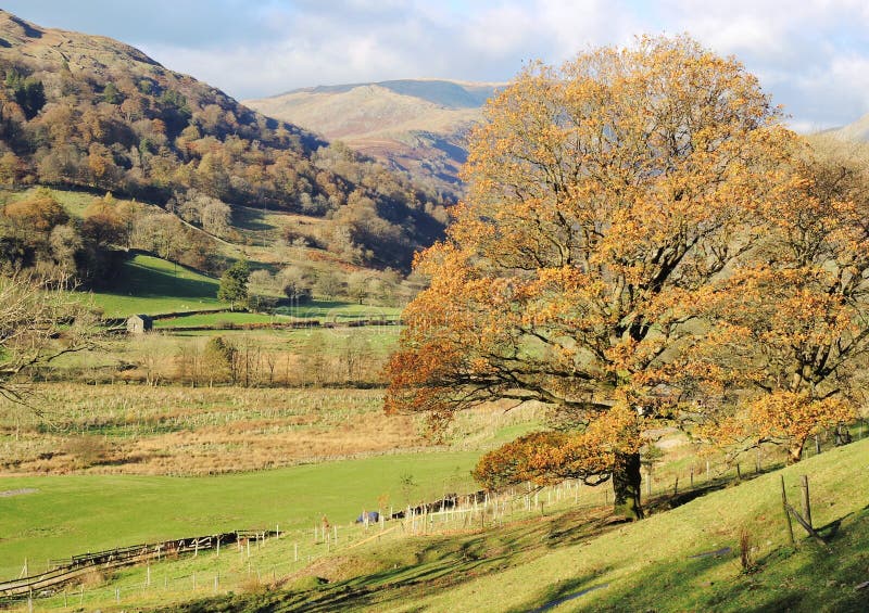 The Troutbeck Valley. stock image. Image of cumbria, district 46795329