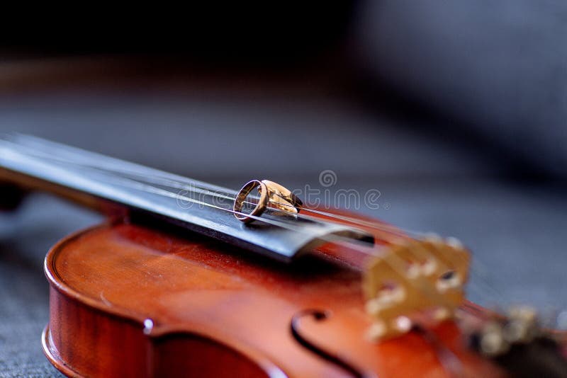 Trouwringen op de viool stock foto