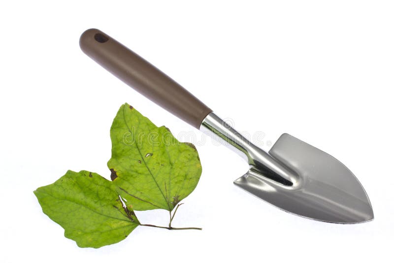 Trowel stock photo. Image of copy, object, green, botany 27618624