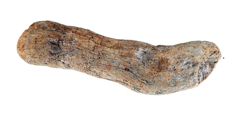 Trozos de textura de madera de deriva. Textura de madera de deriva aislada