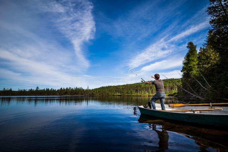 Trucha adulta joven de la pesca en un lago tranquilo imagen de archivo
