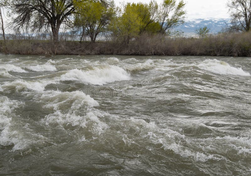 Truckee River, Spring Runoff Stock Image Image of river, rapids 91139913