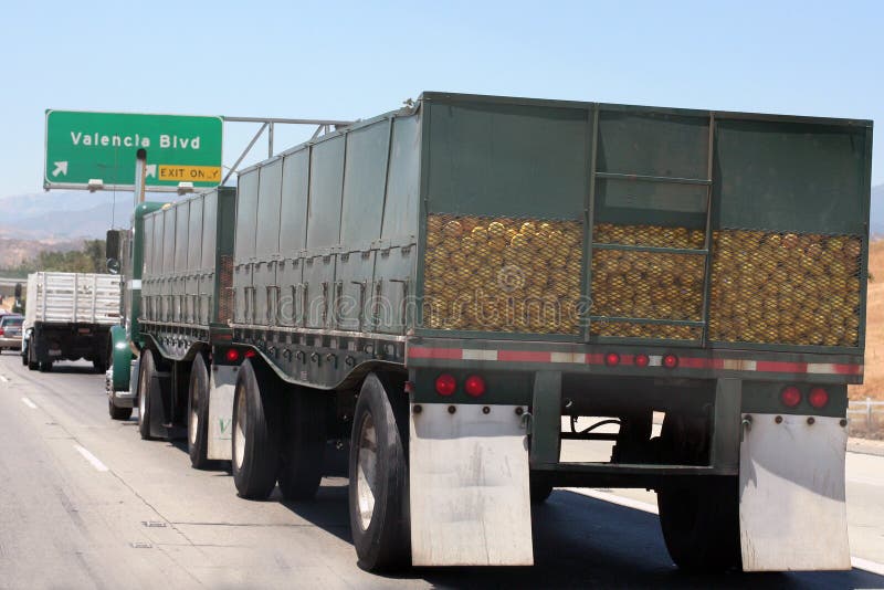 Truckload of grapefruit