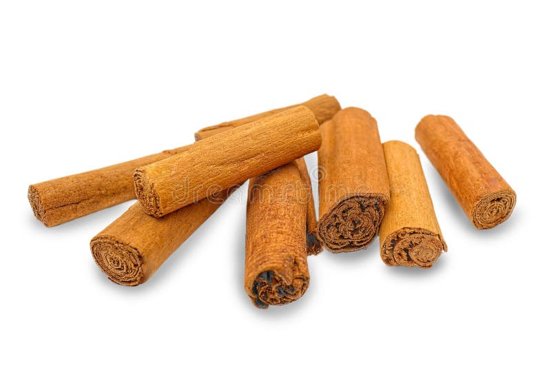 True cinnamon sticks bunch cinnamomum verum isolated on white background.