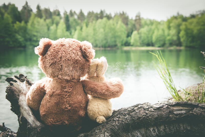 True friends, bunny and teddy bear are sitting side by side at lake, dreaming and remembering. Look forward. Back view