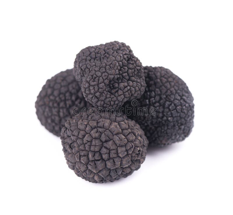 trufas-negras-aisladas-en-un-fondo-blanco-delicada-y-exclusiva-seta-de-trufa-la-exquisitez-picante-fragante-francia-ruta-recorte-161236641.jpg
