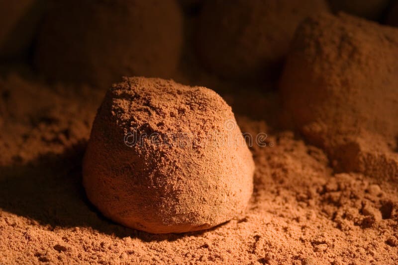 truffe-423843.jpg