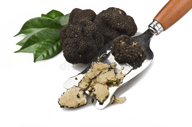 Truffles stock photo. Image of food, ground, health, truffles 25909764