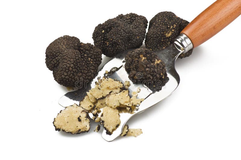 Freshly harvested truffles and sliced close up