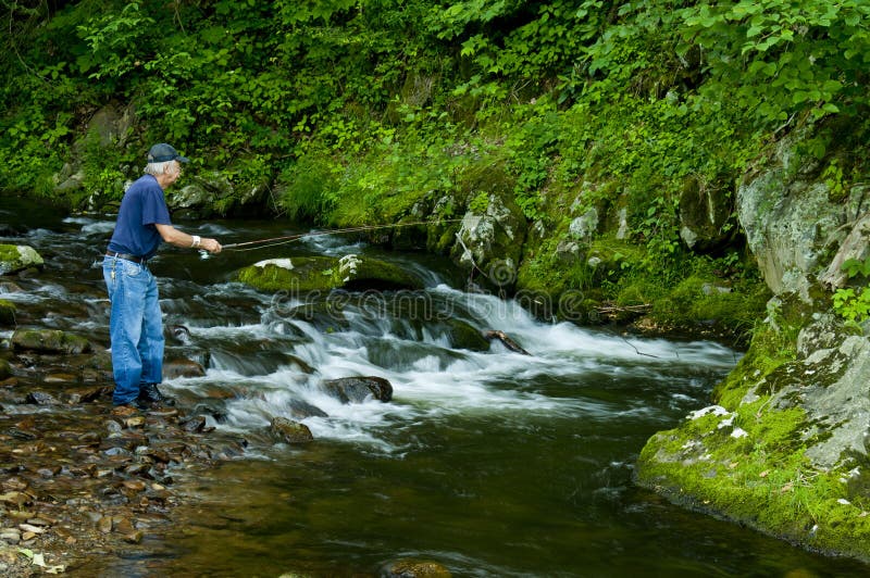 A fisherman is fishing a small trout stream. A fisherman is fishing a small trout stream.