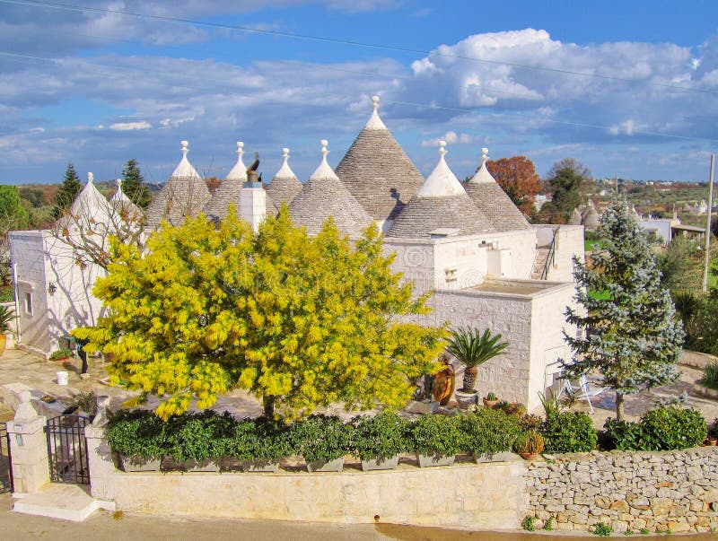 Trulli traditionella gamla hus med mimosan i Puglia, Italien royaltyfria bilder Trulli traditionella gamla hus med mimosan i Puglia, Italien royaltyfria bilder