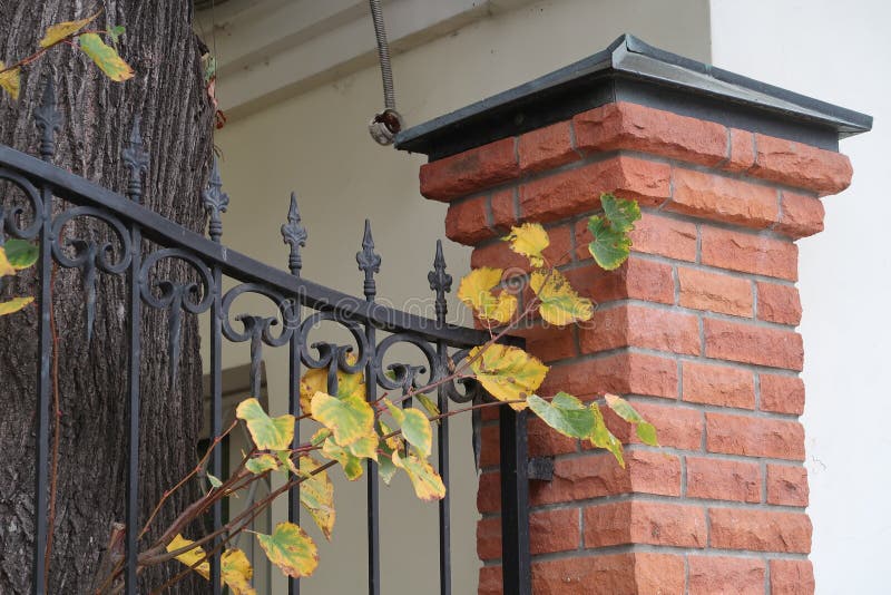 Trunk and yellowed leaves of a tree, metal fence with a red brick post, after rain, autumn in the city