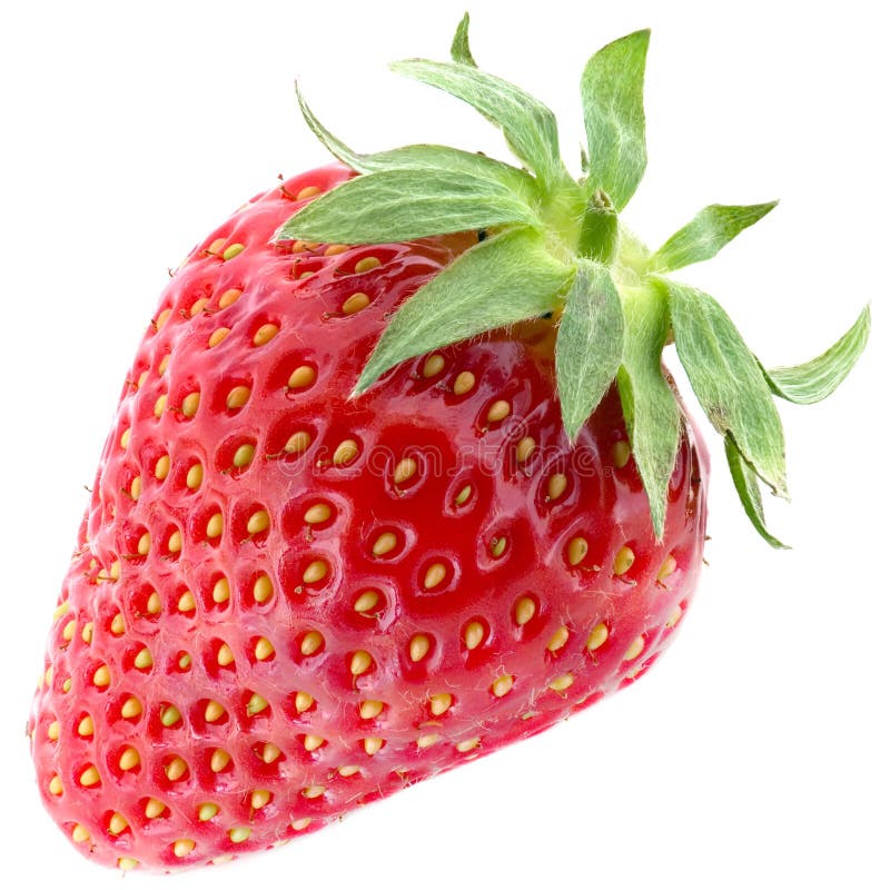 truskawka truskawka
