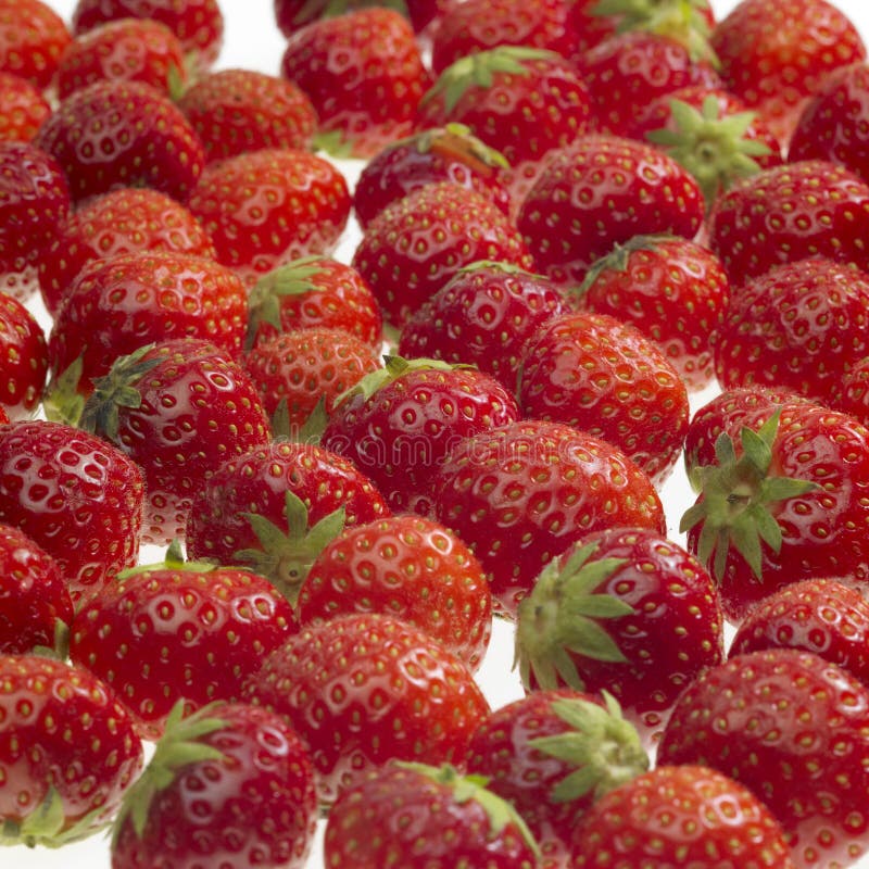 Background made of the strawberries. Background made of the strawberries