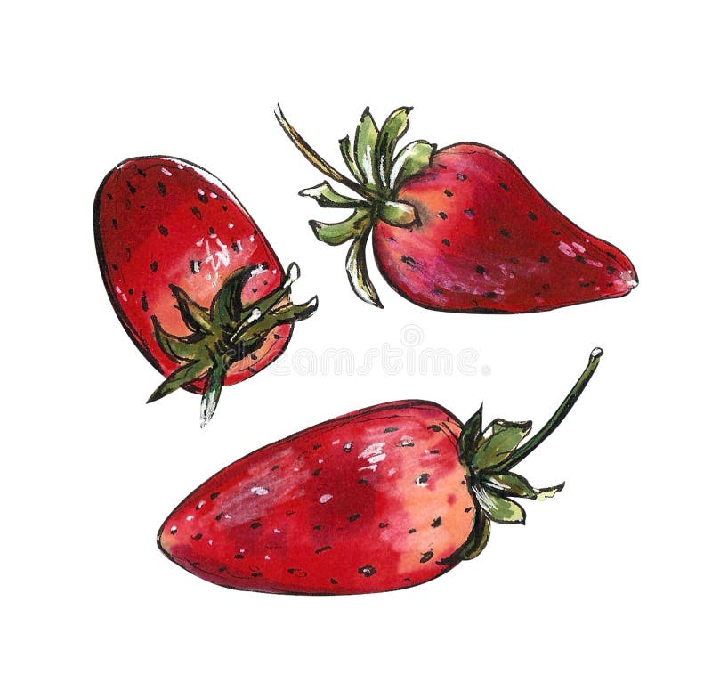 Truskawkowa ilustracja na białym tle Rysunkowi markiery royalty ilustracja Truskawkowa ilustracja na białym tle Rysunkowi markiery royalty ilustracja