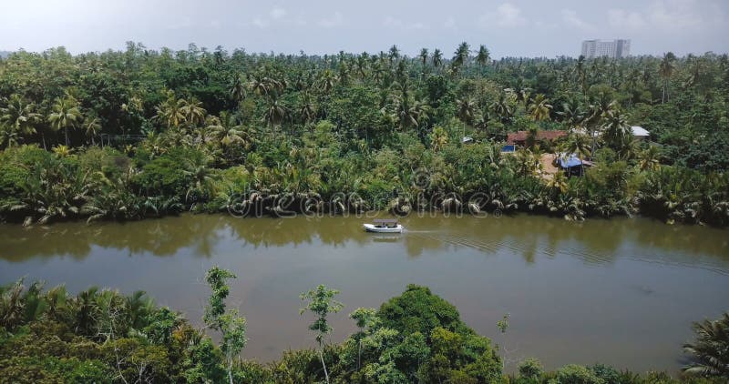 Trutnia panoramiczny widok pięknego tropikalnego lasu deszczowego rzeczny spływanie w dżungli pustkowiu z małą łódką i tropikalny