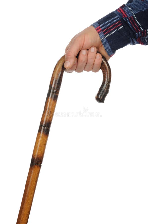 trzcina zdjęcie stock trzcina zdjęcie stock