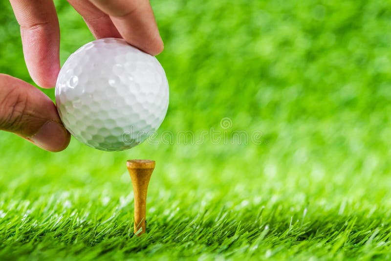 Trä för brunt för utslagsplats för handhållgolfboll pålagt med backg för grönt gräs arkivbild Trä för brunt för utslagsplats för handhållgolfboll pålagt med backg för grönt gräs arkivbild