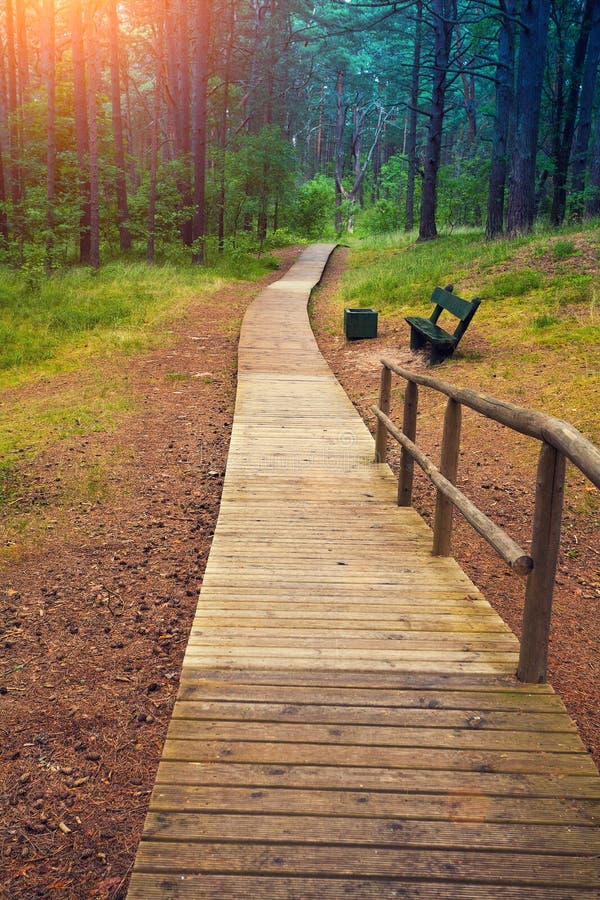 Träbana i skogen royaltyfria foton Träbana i skogen royaltyfria foton