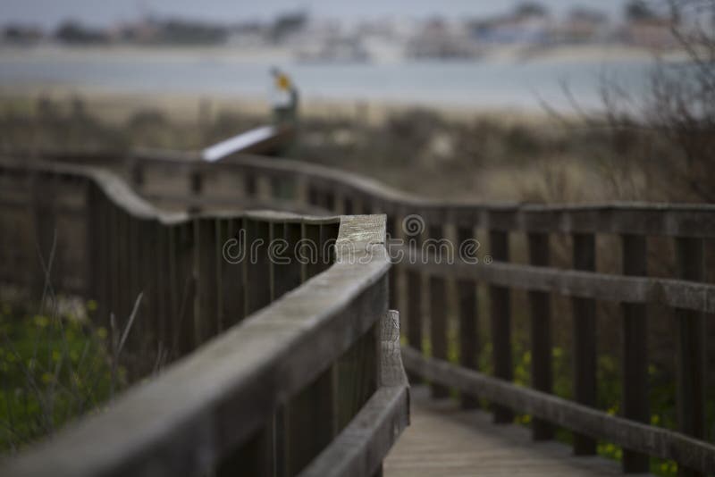 Träbron marin parkerar olhao royaltyfri fotografi Träbron marin parkerar olhao royaltyfri fotografi