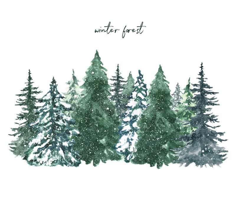 Watercolor winter pine tree forest illustration. Hand painted conifer spruce trees with falling snow, isolated on white background. Christmas themed design. Watercolor winter pine tree forest illustration. Hand painted conifer spruce trees with falling snow, isolated on white background. Christmas themed design