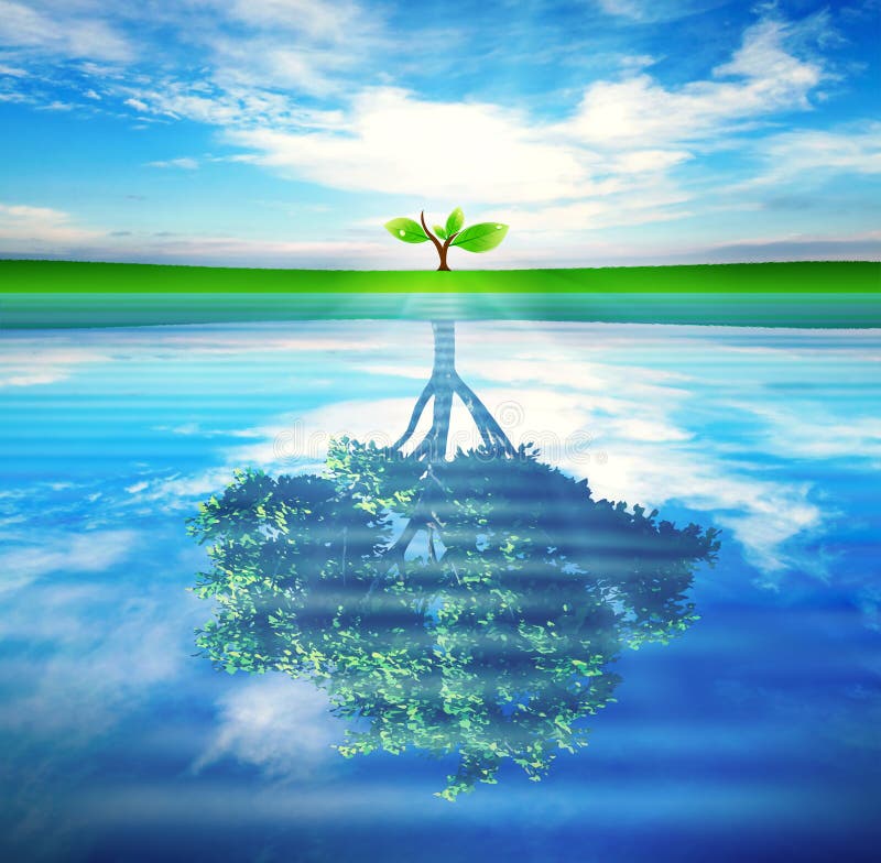 Träd med reflexion i vattenbegreppet för tillväxt, framgång