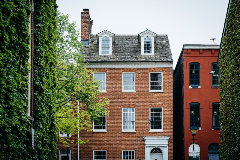 Träd och historiska hus i avverkningpunkt, Baltimore, Maryland royaltyfria foton Träd och historiska hus i avverkningpunkt, Baltimore, Maryland royaltyfria foton